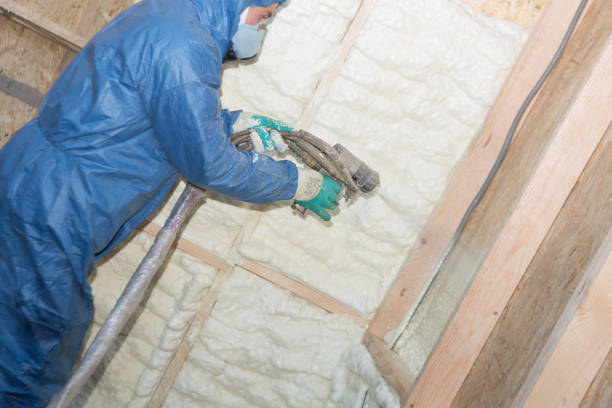 Best Pipe and Duct Insulation  in Circle Pines, MN